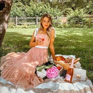 Nadine Merabi Annabelle dress nwt